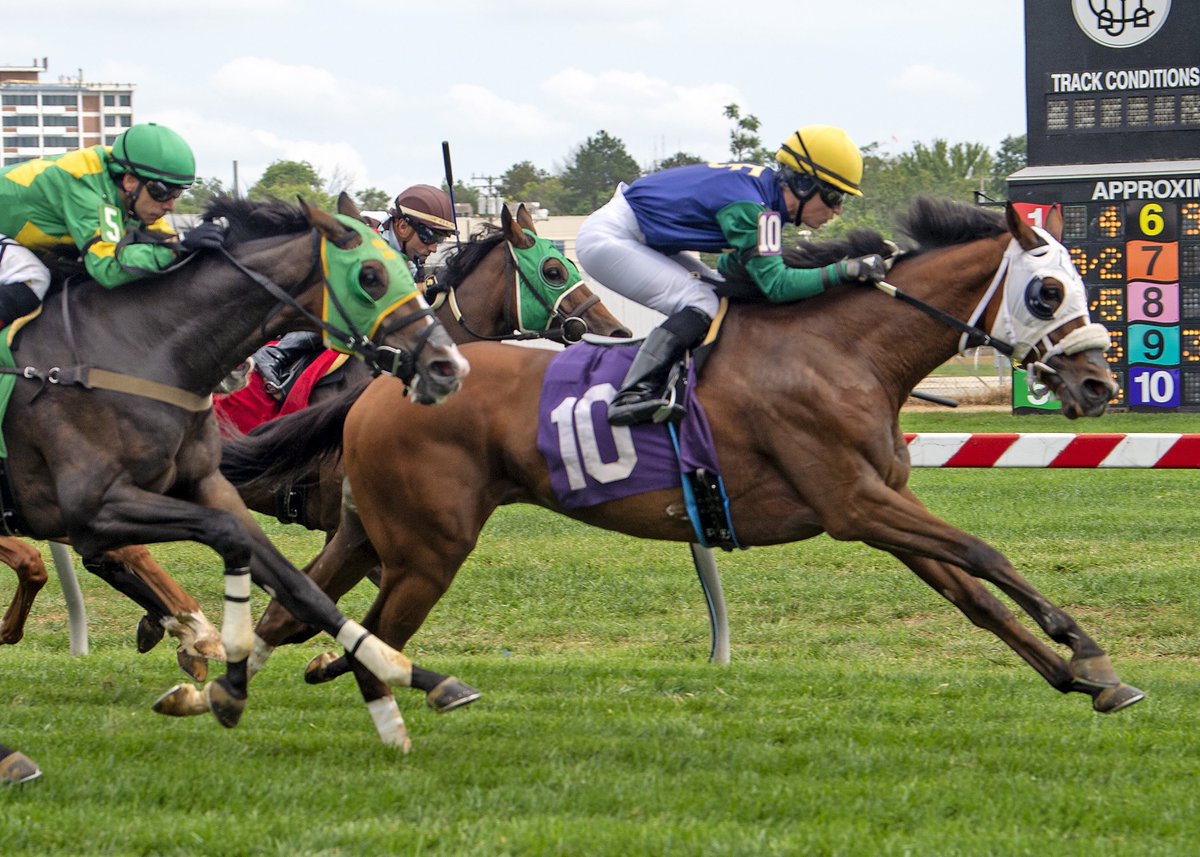 How cool is this! 2 days after #QueenElizabethII passed away, a horse she bred won the 2nd on the turf Sat at @PimlicoRC West Newton, a 6yo gelding out of the mare Queen’s Prize, also bred by the late monarch, with #ForestBoyce up for trainer #RichardHendriks rallied for the win