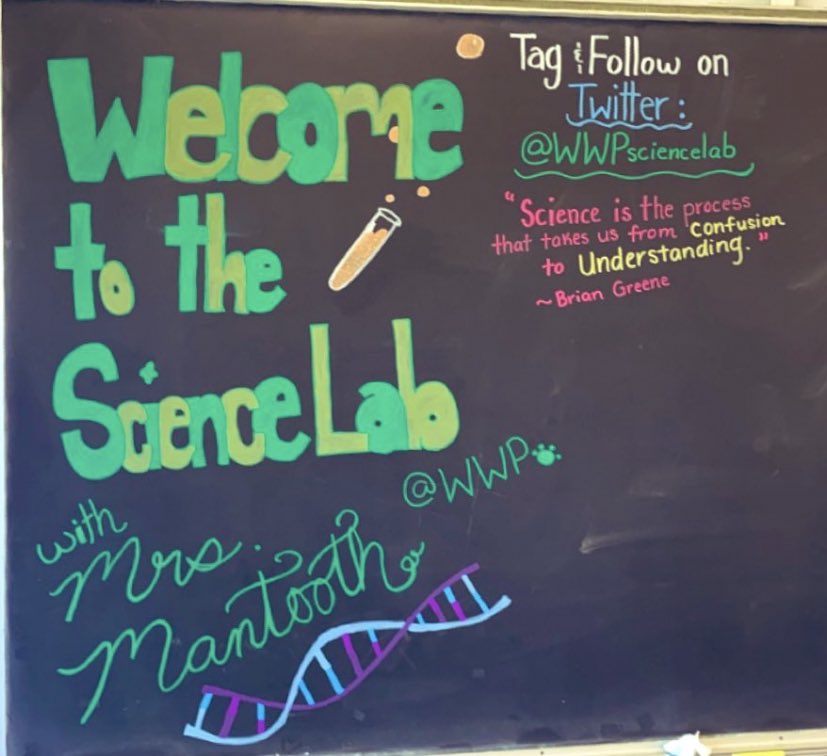 WWPsciencelab tweet media