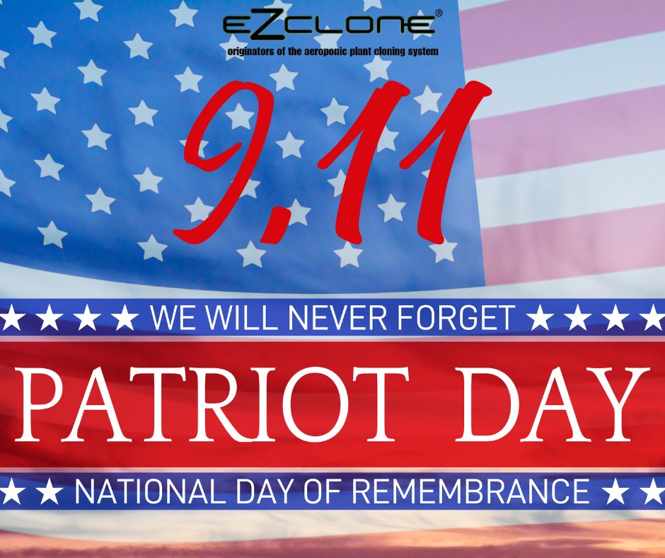 ezclone's tweet photo. Today is the day to remember all those who died in the Twin Tower attack and always keep them alive in our memories. https://t.co/W7rmRgIWRT