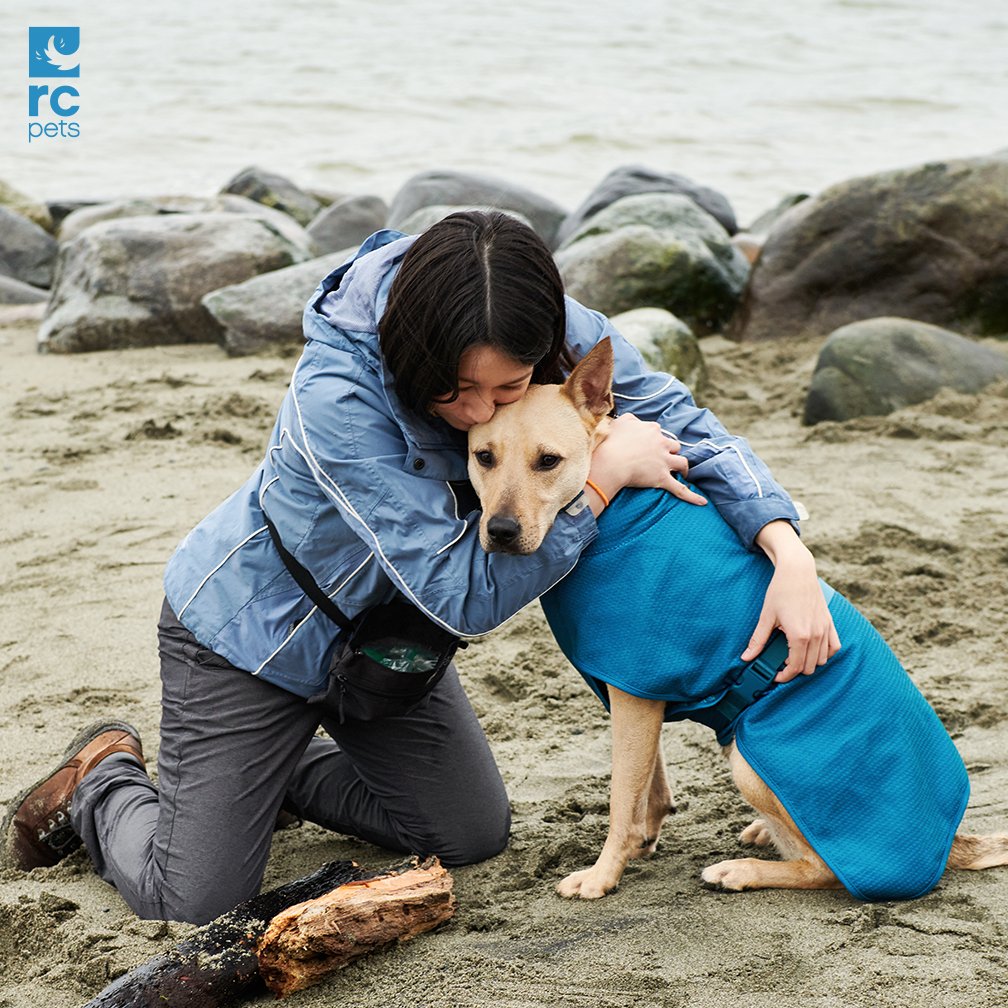 RCpetproducts's tweet photo. It's Hug Your Hound Day! Give your pets a hug from us. #hugyourhoundday
Pictured: Callie drying off in our Quick Dry Wrap 🌊
Find out more : https://t.co/2nDju3cyOh
#rcpets #welovepets #inspiredbypets #makeeverydayatreat https://t.co/nxmBd1xDlv