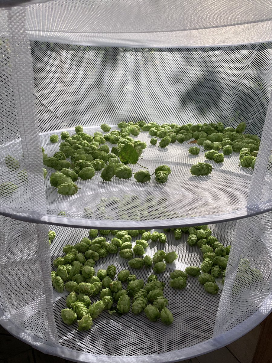 Brian Pincott tweet media