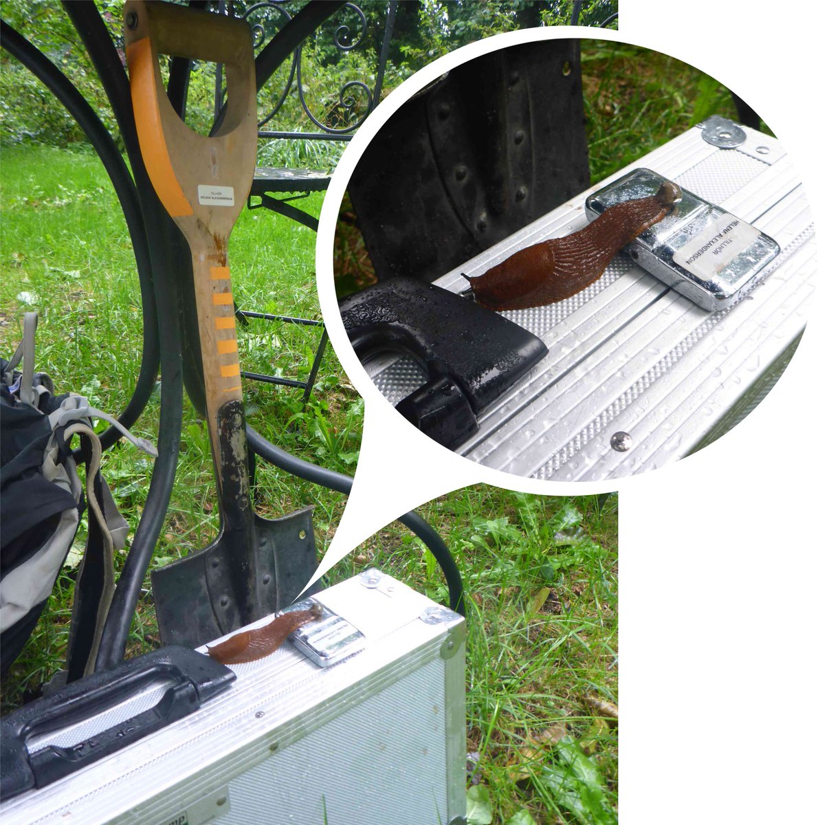 I thought we were quite efficient but apparently we were working too slowly. Sediment sampling at Kivik, Scania for an OSL-dating project. @LundGeology <a href="/museet/">Historiska museet vid Lunds universitet</a>