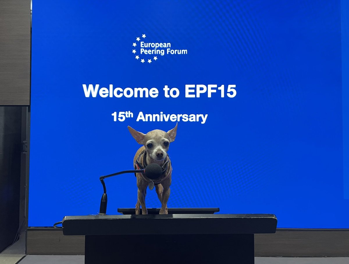 datacenterdog (@datacenterdog) on Twitter photo I’m ready to perform my speech for #EPF15 now! Wait, what do you mean that it officially starts tomorrow? <a href="/netactuate/">NetActuate</a> <a href="/flexOptix/">FLEXOPTIX</a> <a href="/kentikinc/">Kentik</a> <a href="/LINX_Network/">London Internet Exchange (LINX)</a> <a href="/netnod/">Netnod</a> I’m ready to perform my speech for #EPF15 now! Wait, what do you mean that it officially starts tomorrow? <a href="/netactuate/">NetActuate</a> <a href="/flexOptix/">FLEXOPTIX</a> <a href="/kentikinc/">Kentik</a> <a href="/LINX_Network/">London Internet Exchange (LINX)</a> <a href="/netnod/">Netnod</a>