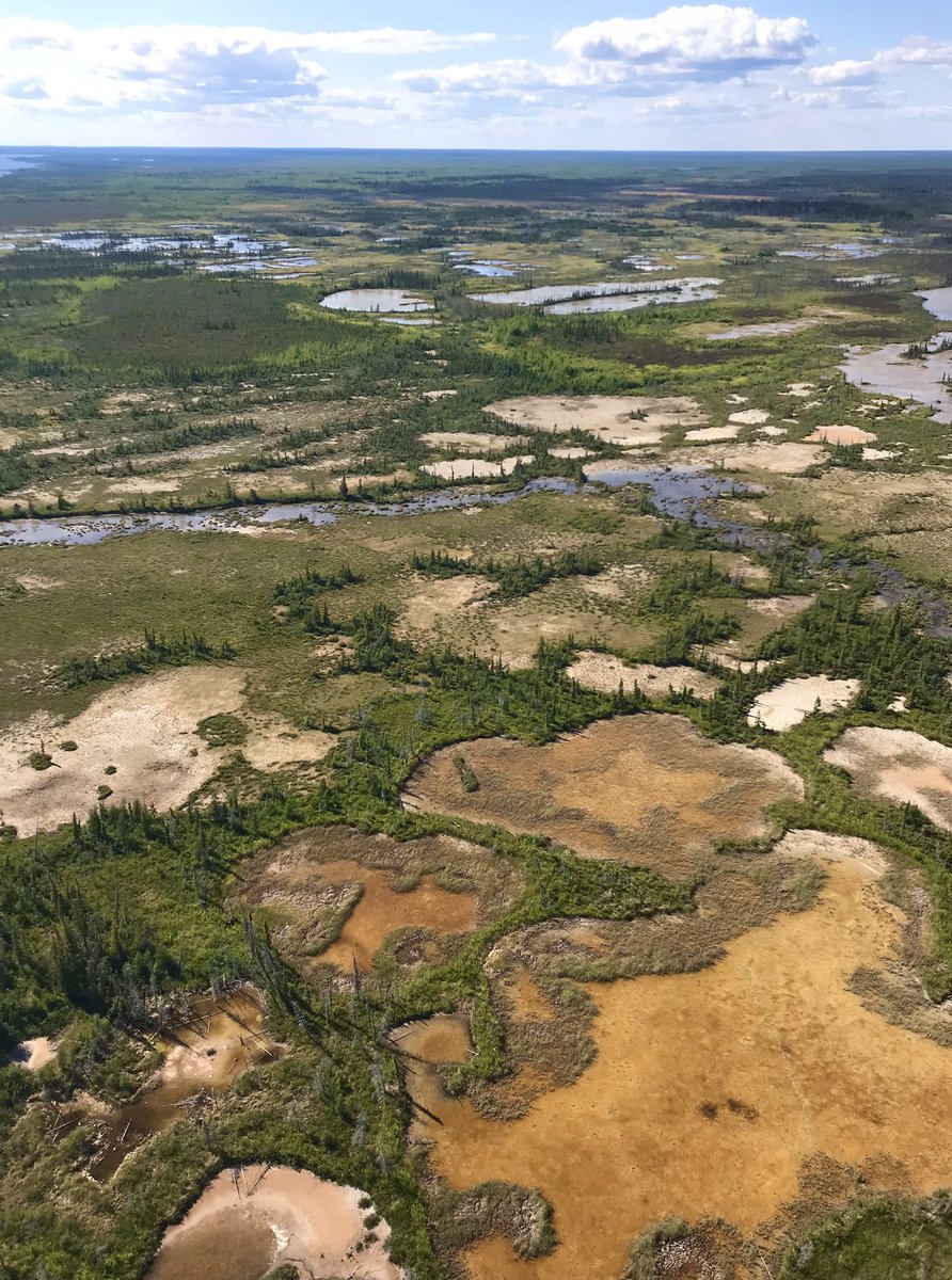 Wetlands make the world more resilient, beautiful, and connected. These boreal wetlands protect surrounding upland forests from drought during the #ClimateCrisis. Protect #wetlands to protect #climate.