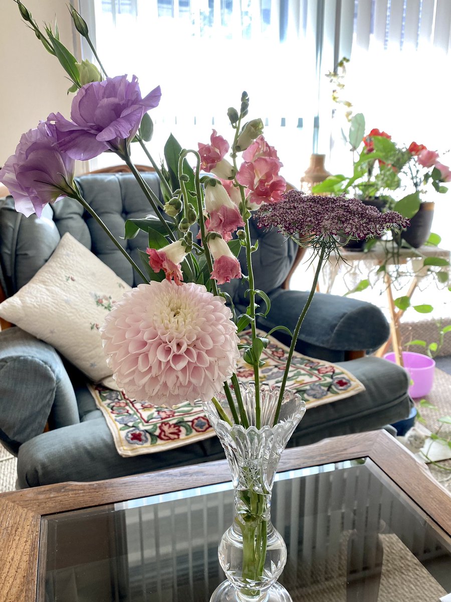 Shades of the fall? Hmm ..no, but still my favourite! Love’em💕
Thanks @bldgardens <a href="/downtownwpgbiz/">Downtown Winnipeg BIZ</a>