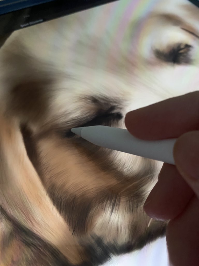 MiesGraffiti.eth ☯️ tweet media