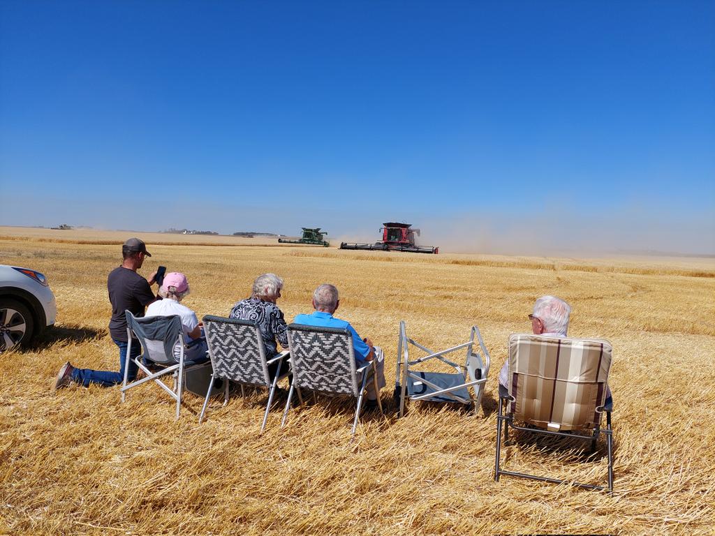 Harvest is the culmination of a year of planning and work for the Louise Grain Growing Project near Crystal City, MB. Didn't take long for 6 combines on 130 acres of wheat. Great community spirit. #endhunger <a href="/Foodgrains/">Canadian Foodgrains Bank</a> <a href="/GrainLouise/">Louise Grain Growing</a>