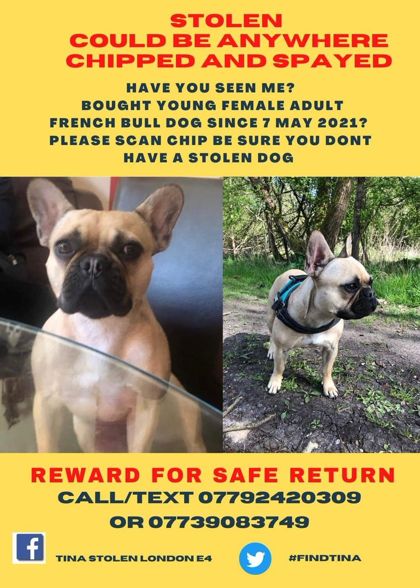 juliagarland73's tweet photo. #findTina https://t.co/gpyBwLZfyo