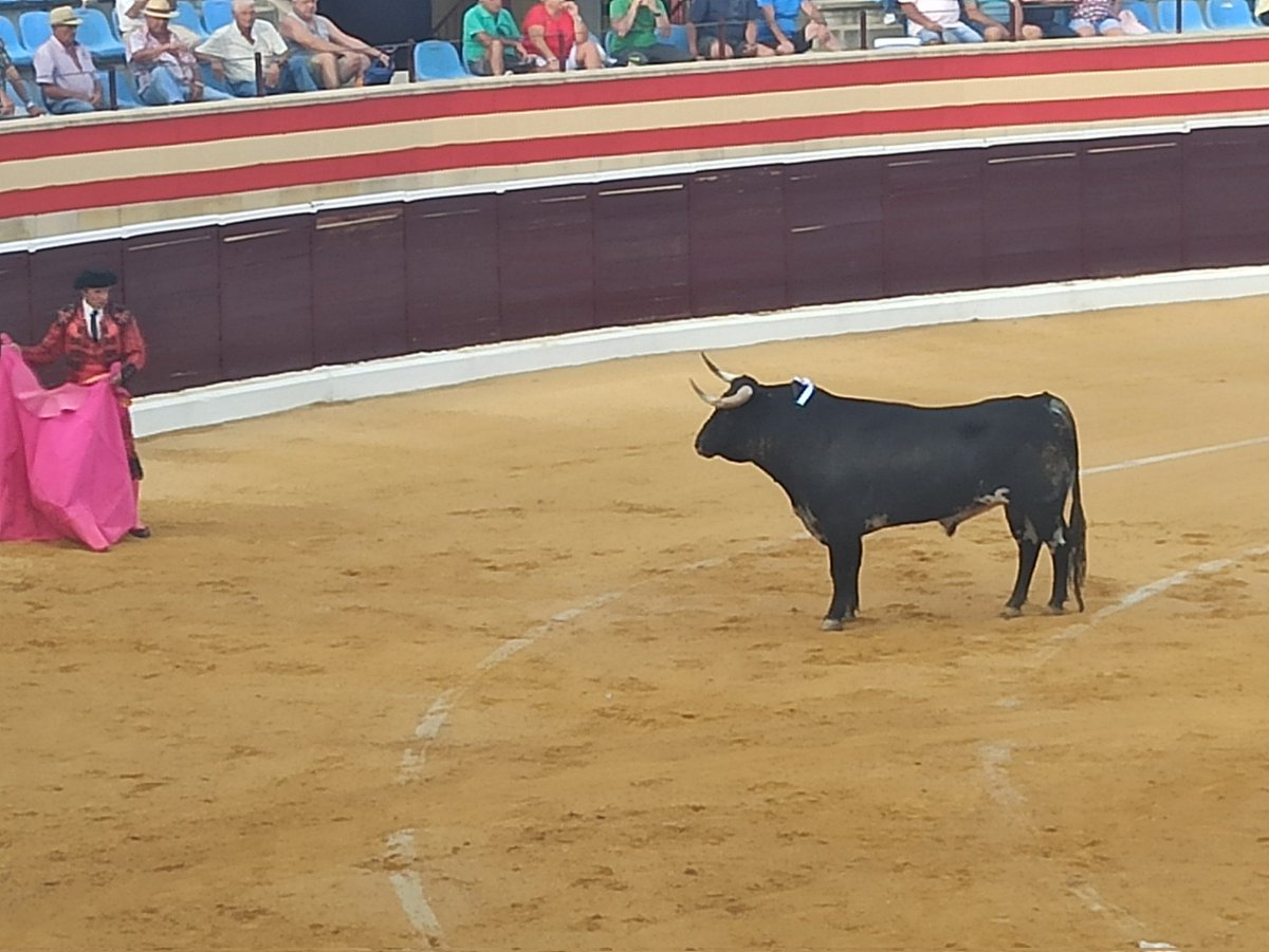 Aficionado Corucho (@aficcioncorucho) on Twitter photo Buena presentación hoy la novillada de <a href="/GGuadalest/">Ganadería Guadalest</a> en Villa del Prado. Novillada con novillos interesantes como quinto y sexto que estuvo por encima de los novilleros en general. Se cayeron del cartel V. Hernández y Burdiel. La terna quedo en C. Pérez, Peñaranda y Pulido Buena presentación hoy la novillada de <a href="/GGuadalest/">Ganadería Guadalest</a> en Villa del Prado. Novillada con novillos interesantes como quinto y sexto que estuvo por encima de los novilleros en general. Se cayeron del cartel V. Hernández y Burdiel. La terna quedo en C. Pérez, Peñaranda y Pulido