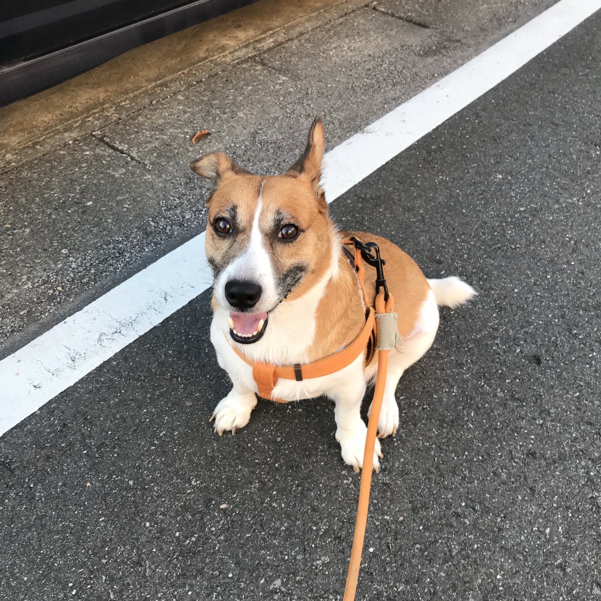 kenblog08's tweet photo. 涼しいけど動きません。 https://t.co/1iNtAl8FoK