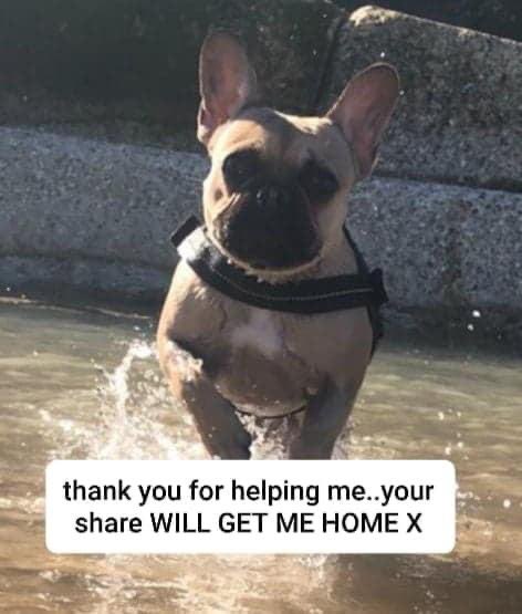 juliagarland73's tweet photo. #findTina https://t.co/CoLilzZzJ9