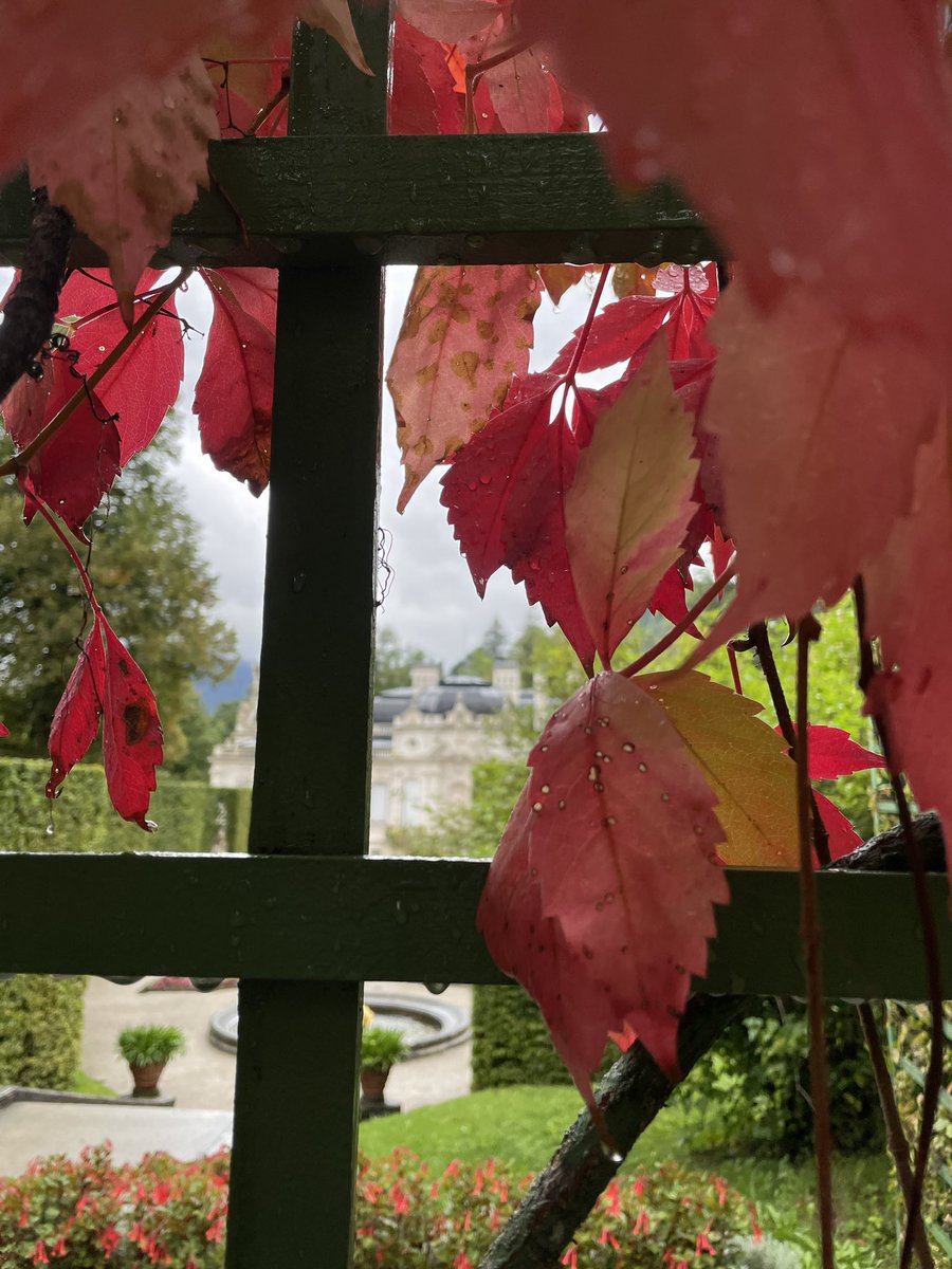 nivedita_bhasin's tweet photo. Passed by an #AlpineHouse on way to #SchlossLinderhof
Rainy, patches of sunshine and again rainy.
Scenes from a picture postcard!! https://t.co/vHzH0lcjT6