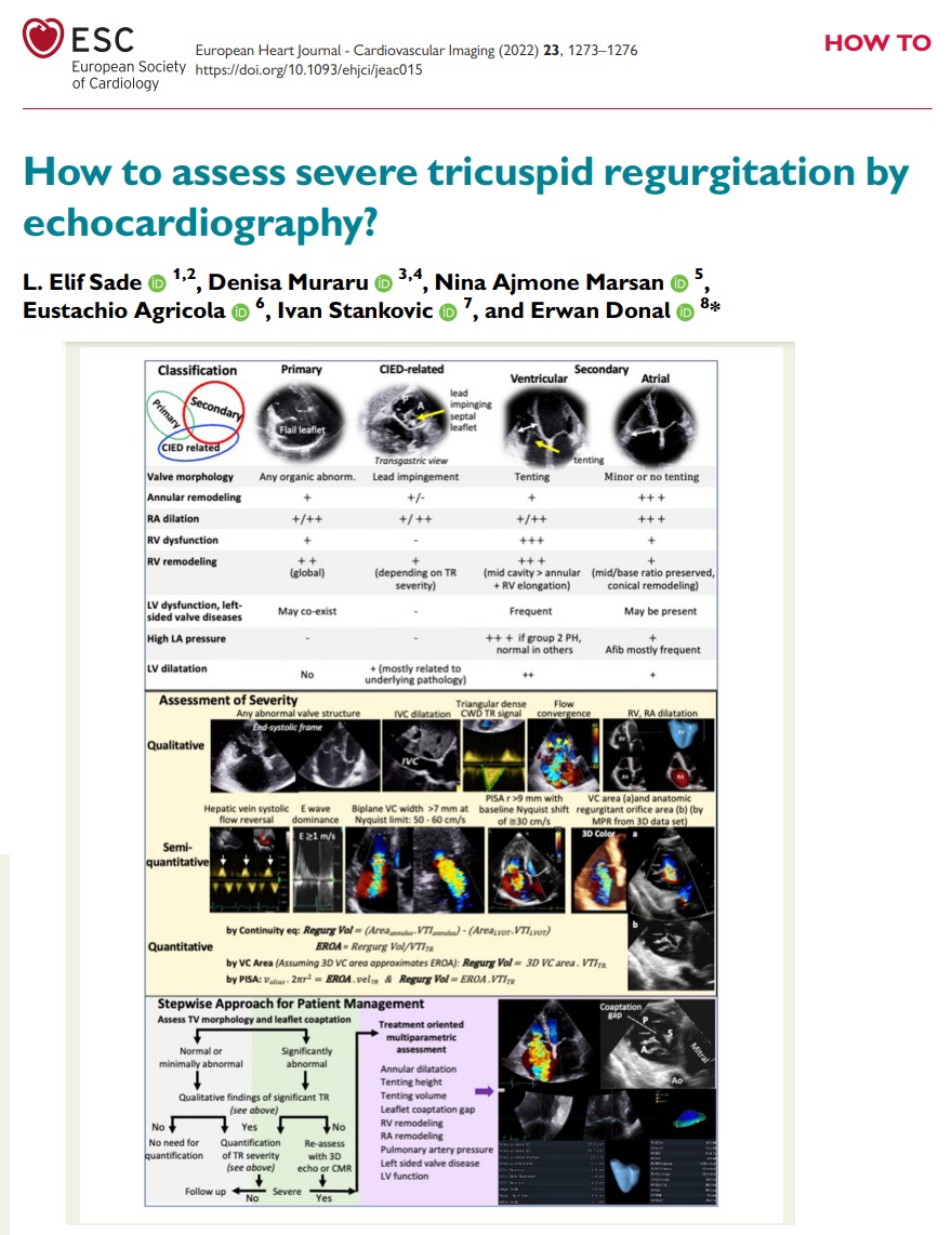 Superlative 'How To' on #EHJCVI! 📢 'How to assess severe tricuspid regurgitation by echocardiography?' 🛑 @escardio @ESC_Journals @GeraldMaurer @denisamuraru @leylaelifsade @NAjmoneMarsan @Ivan_Echocardio @DonalErwan @VDelgadoGarcia @PezelT @HanCardiomd @Sarah_Moharem