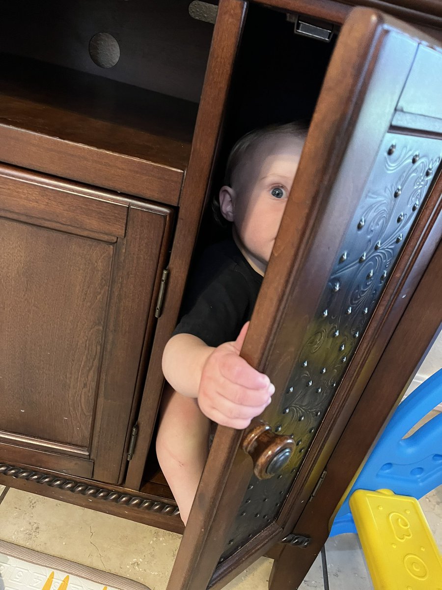 CoachBHiggy's tweet photo. Every @Bengals fan going back into hiding https://t.co/hKrHArPZFj
