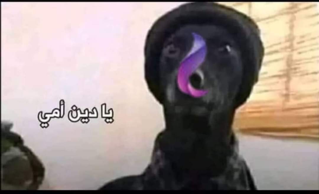 يارب 
#قاطع_حرامي_النت_في_مصر