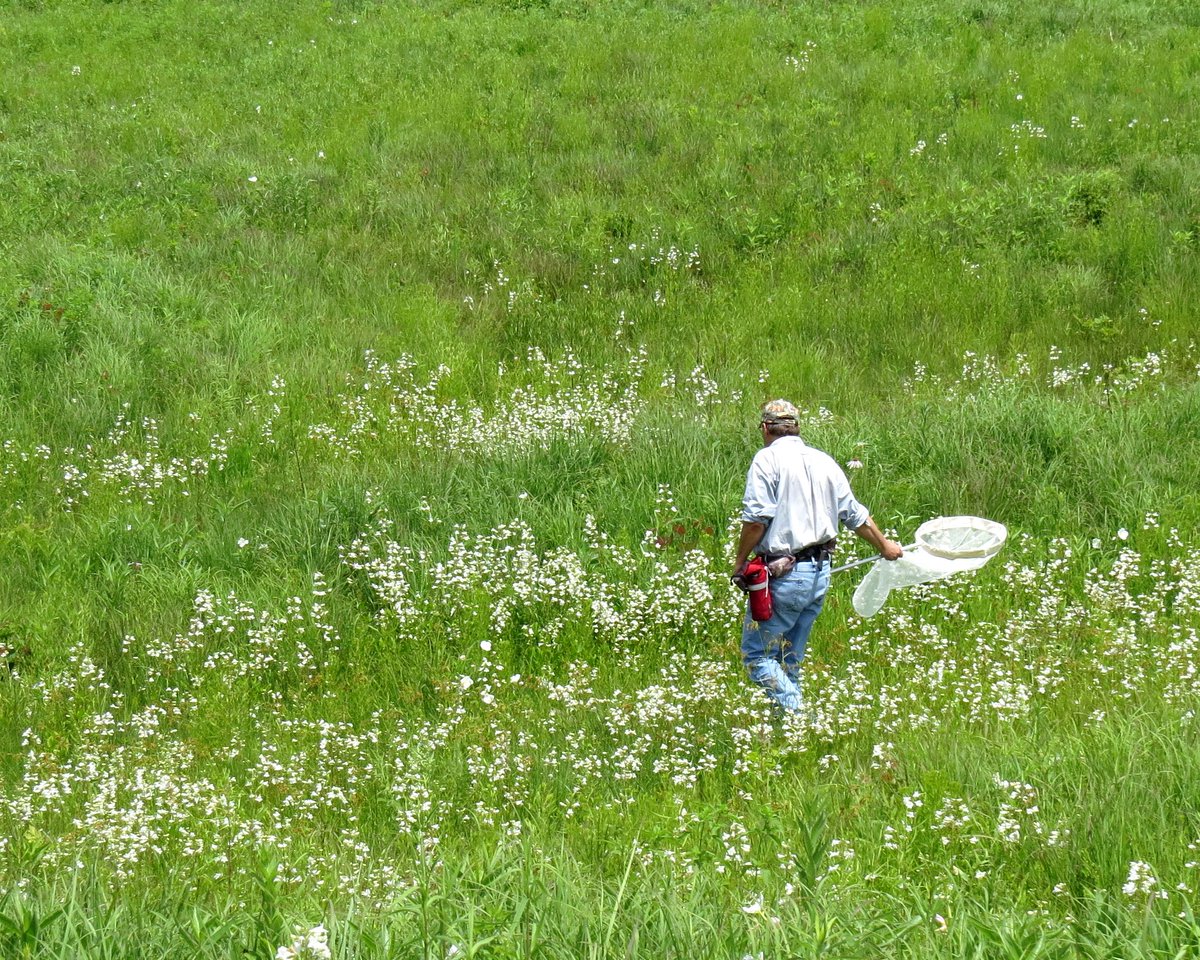 📣Plan it Native kicks off tomorrow! 📣  Join us for fun, food, beer, plants, networking, and learning.📗 Let's do this! 🦋

🌱Register @ planitnative.org🌱

Photo credit: Tom Schroeder