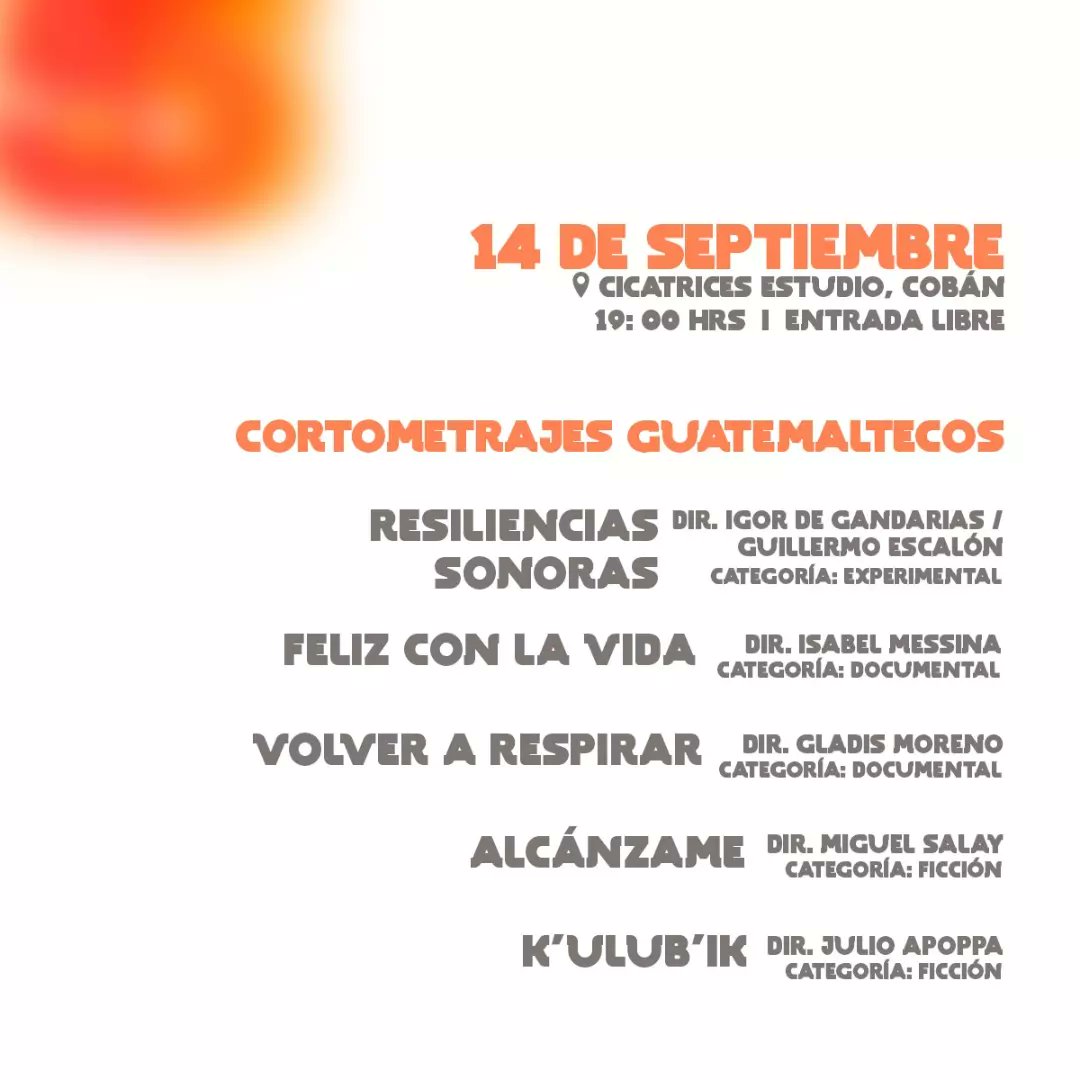 Festival Icaro tweet media