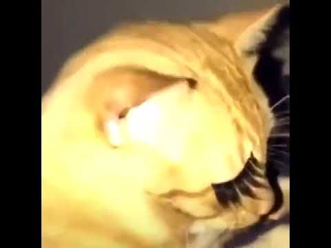 kev³⁰ PUT DLX TRACKS ON SPOTIFY tweet media