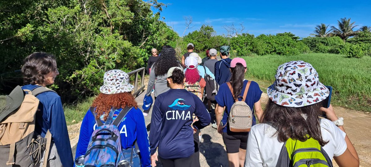 aecimaupr's tweet photo. El sábado pasado participamos en una siembra de mangles en Isabela. 🫶

Gracias a @cocopuertoricoinc @ser.upragchapter @vidamarinapr @amandoceanorum @amandoceanopr @cpm_rum por colaborar en esta hazaña.

#teamwork #mangroves #restoration https://t.co/PitqNAqEHo