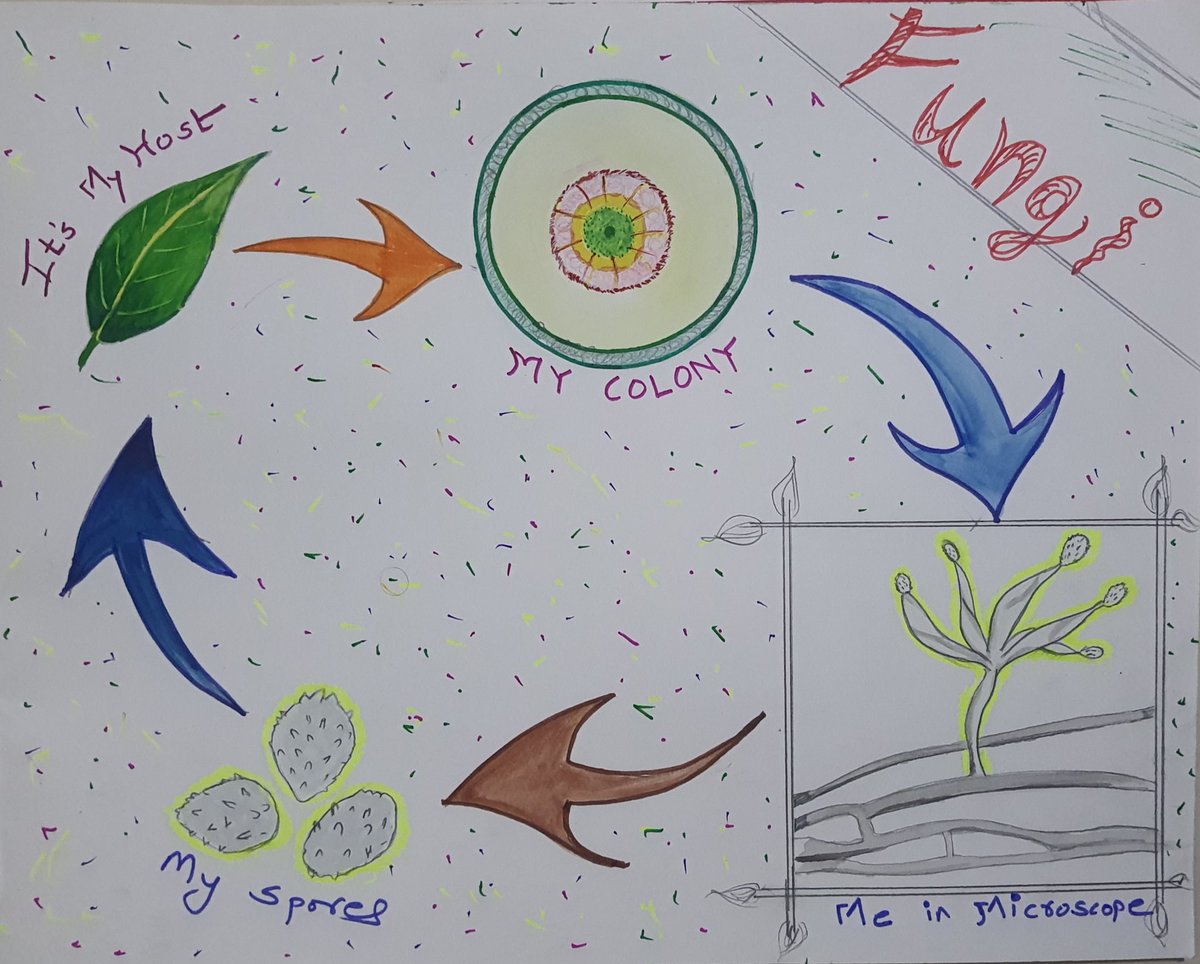 It's my "Colorful Artwork of Fungi" for...
#microbeart2022 #InternationalMicroorganismDay AND <a href="/FEMSmicro/">FEMS</a>