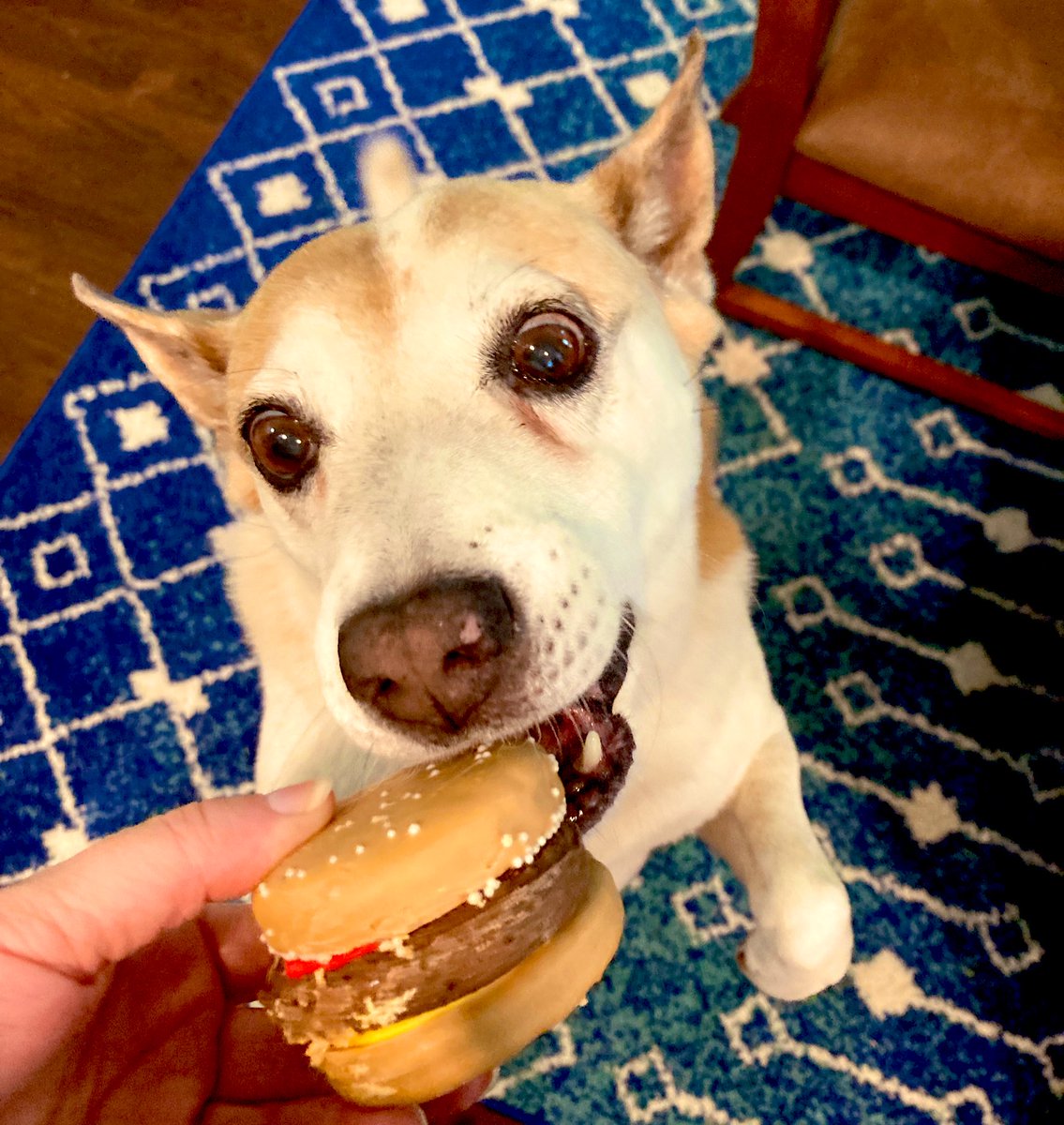LisaDeP's tweet photo. And a burger for Cora #NoMustard https://t.co/H27GdZuato