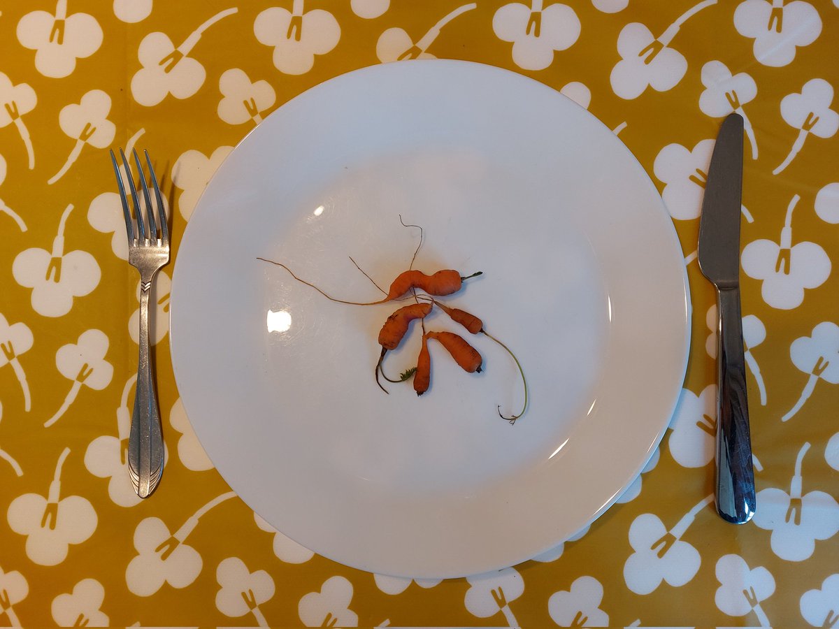 Ik heb niet zoveel met moestuinen. En moestuinen blijkbaar ook niet met mij...