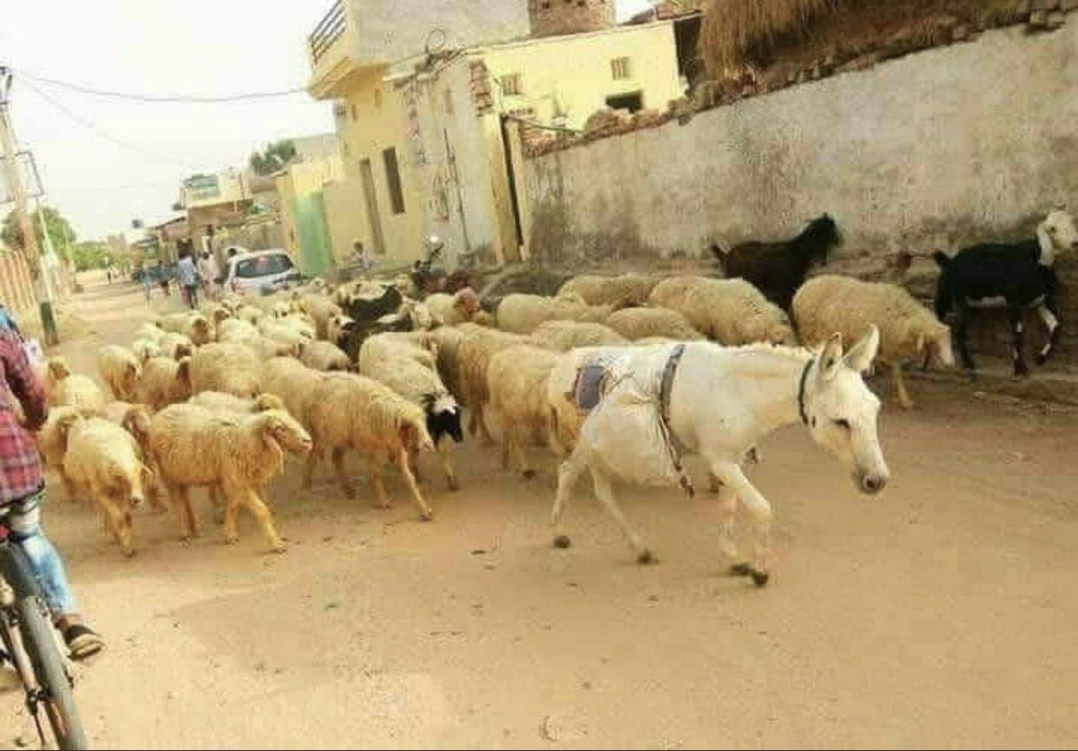 It depicts all in one photo. 
#BharatJodoYatra