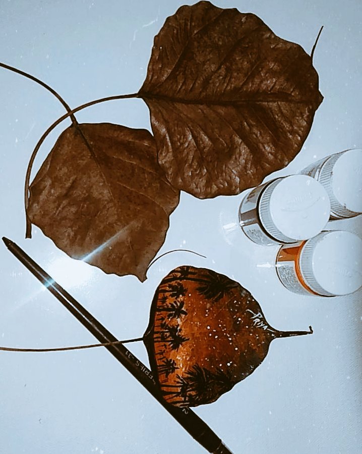 Artistic_esprit's tweet photo. Creativity on god's creation! 🤎💚
 
#art #IndiavsPakistan #indian #leafpainting #painting #Artist #sundayvibes #throwbackwork https://t.co/5vcEunoHoq