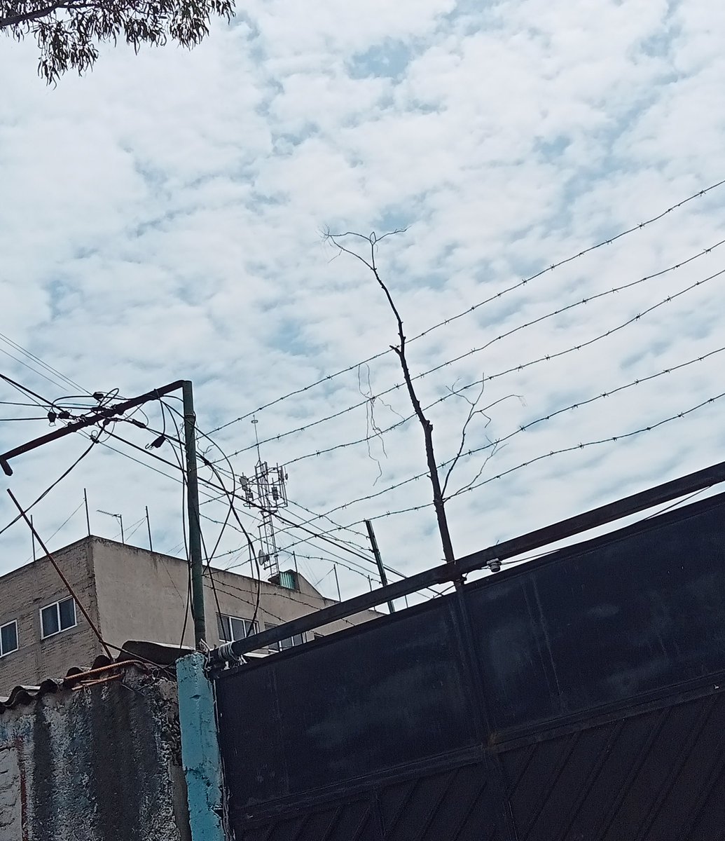 Valle de los Reyes, Los Reyes Acaquilpan, Estado de México
maps.app.goo.gl/NkvxwxazeLqbf6…
<a href="/Edomex/">Gobierno del Estado de México</a>