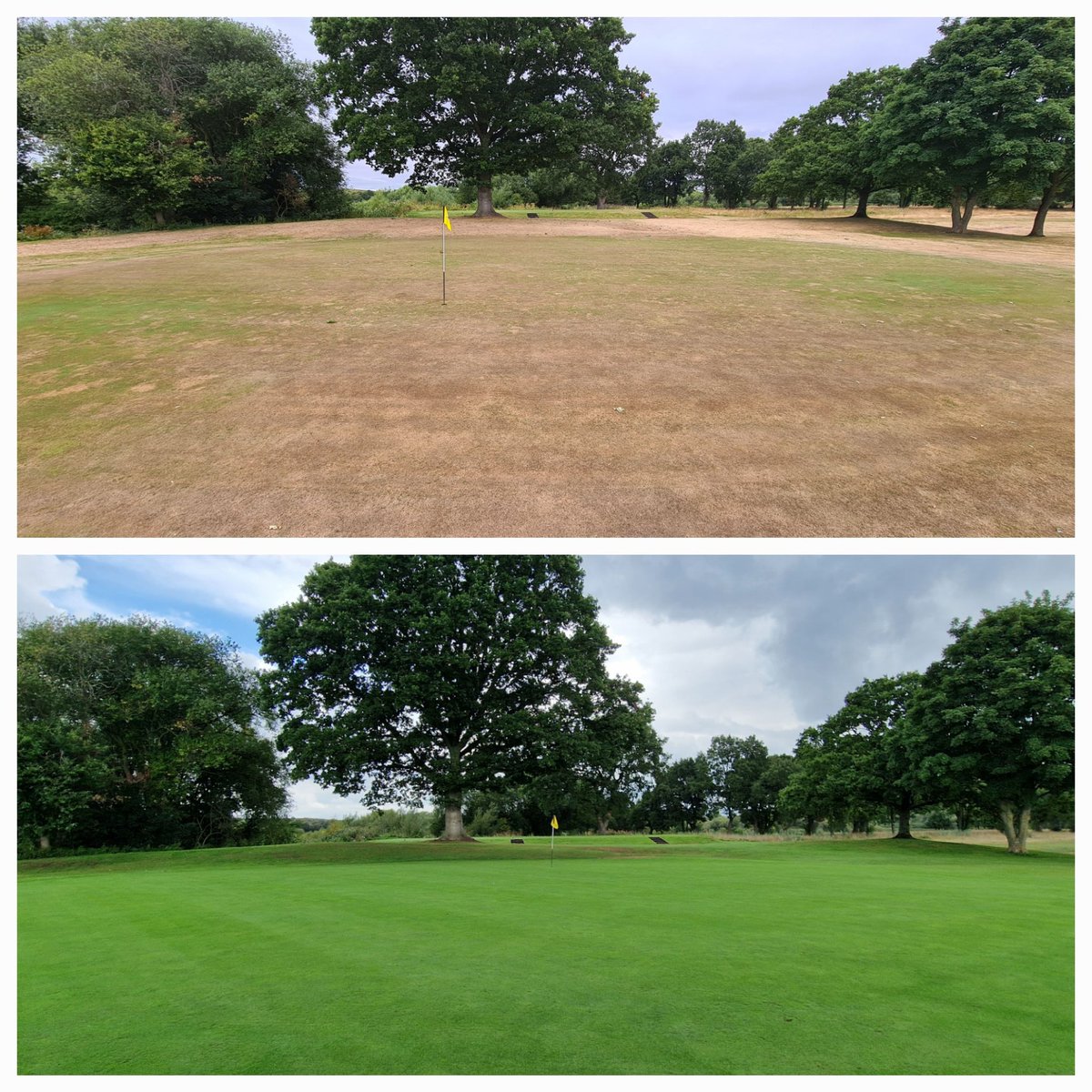 2 weeks before record temperatures hit the UK we lost our irrigation! Inevitably the greens suffered & the front 9 holes had to be closed while a seeding & recovery programme was implemented. 7 weeks later we are now fully open!