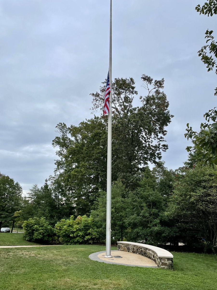 Miss Shannon Casey tweet media