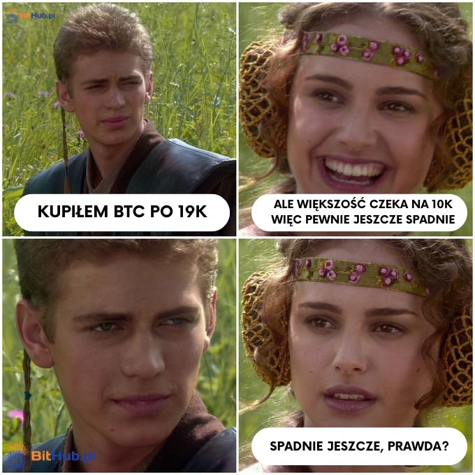 cryptoszad's tweet image. 