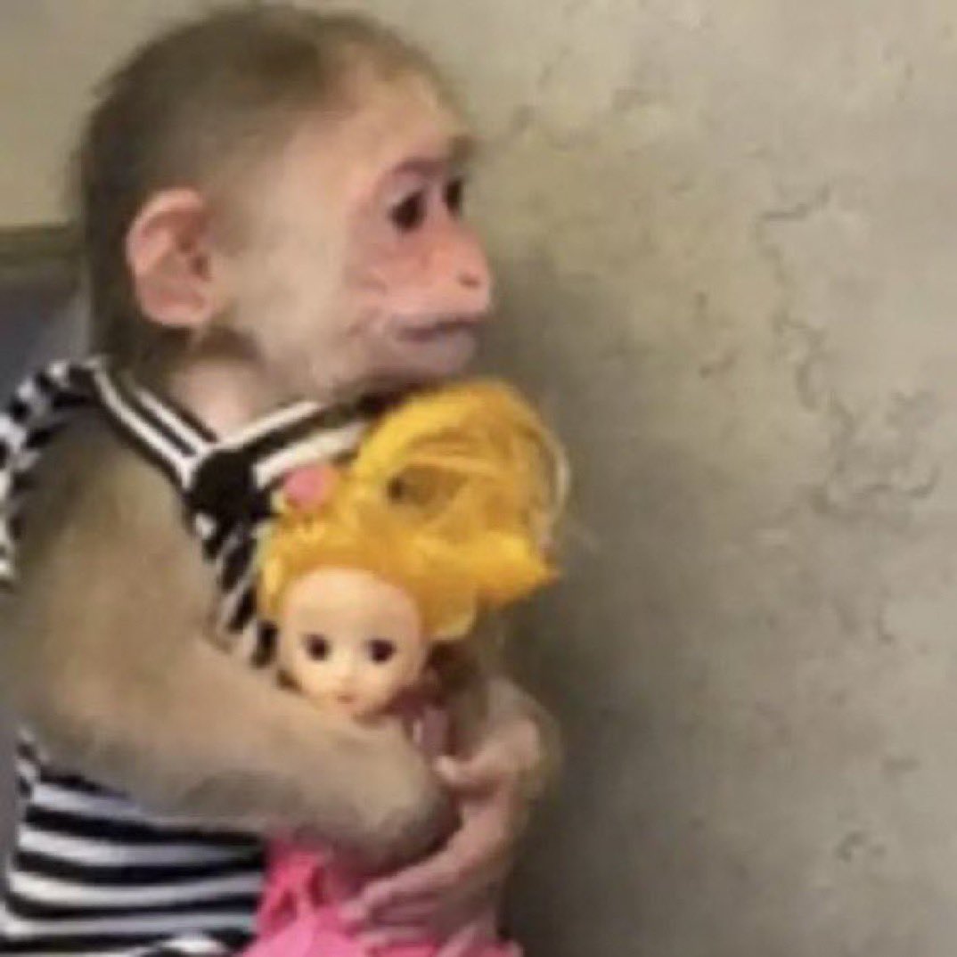 eita o tanto de seguidor que perdi so pq não to mais usando aqui