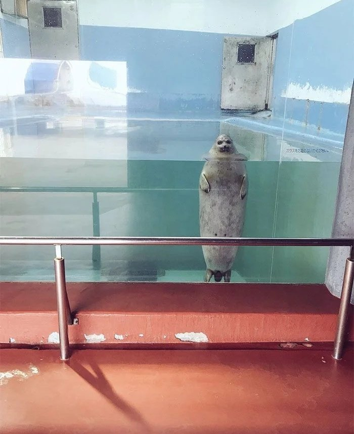 How I get my best ideas