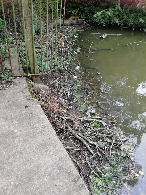 SandallPark's tweet photo. You can't beat a bit of muck! Especially stinky sort. Pongy Corner 2 was in the throes of encouraging youngsters round the fence into the nature reserve. 2 sacks of rubbish cleared; enough wood for a (smelly) bonfire; dead &amp; bloated mole. Lovely. First Aiders &amp; Lifeguard present. https://t.co/ZHaEF7vgpP