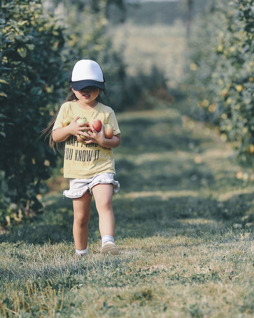 itsnelsonwei's tweet photo. #apples #farm #willowviewfarms 
.
.
.
.
.
 #streetmobs #moodynature #quietthechaos #depthobsessed #main_vision #dofnature #bokehlicious #dof_of_our_world #splendid_dof#bokehphotography #splendid_dof #bokeh_and_blur #dof_addicts #bokehgraph #dof_brillianc… https://t.co/vJBSAwkRrj https://t.co/gPh7Szv0h3