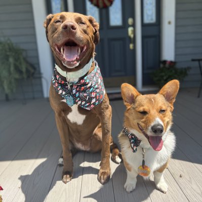 #NewProfilePic