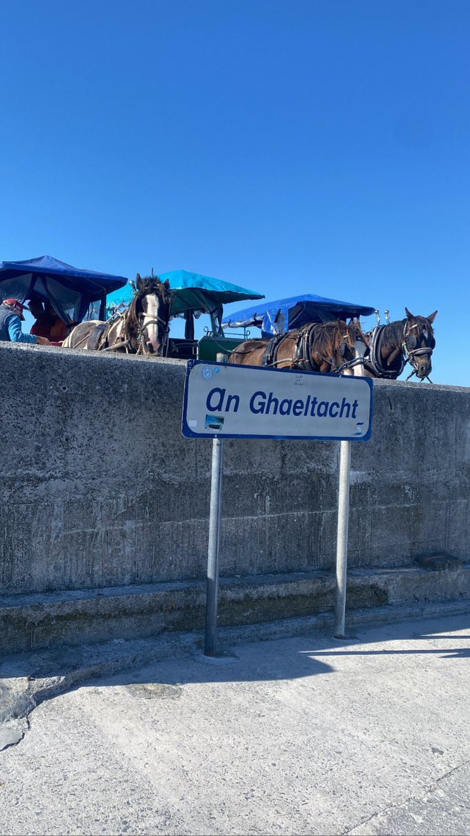 Callie Nic Rállaigh tweet media