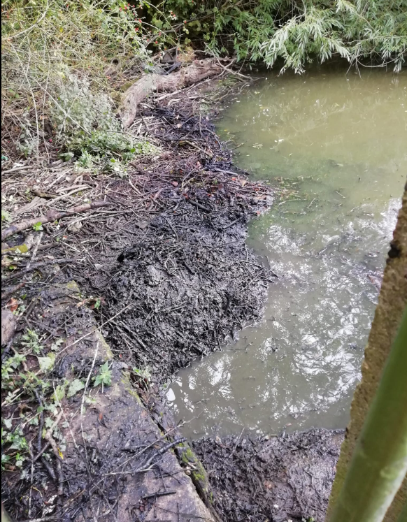 SandallPark's tweet photo. You can't beat a bit of muck! Especially stinky sort. Pongy Corner 2 was in the throes of encouraging youngsters round the fence into the nature reserve. 2 sacks of rubbish cleared; enough wood for a (smelly) bonfire; dead &amp; bloated mole. Lovely. First Aiders &amp; Lifeguard present. https://t.co/ZHaEF7vgpP