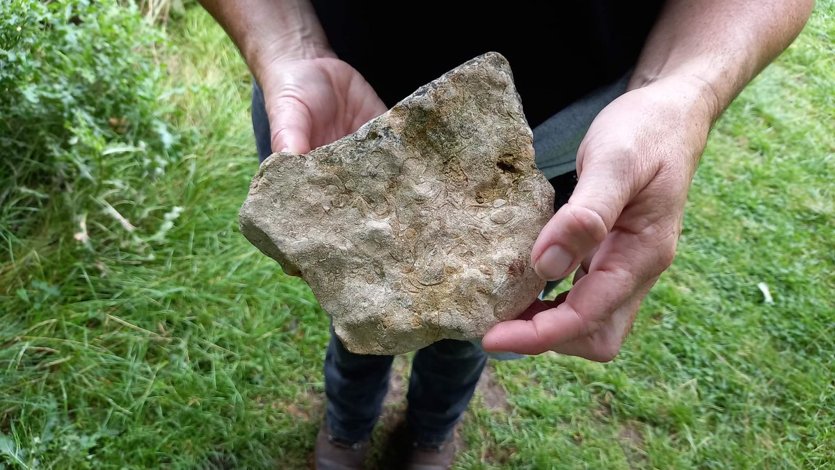 Heather Sunderland tweet media