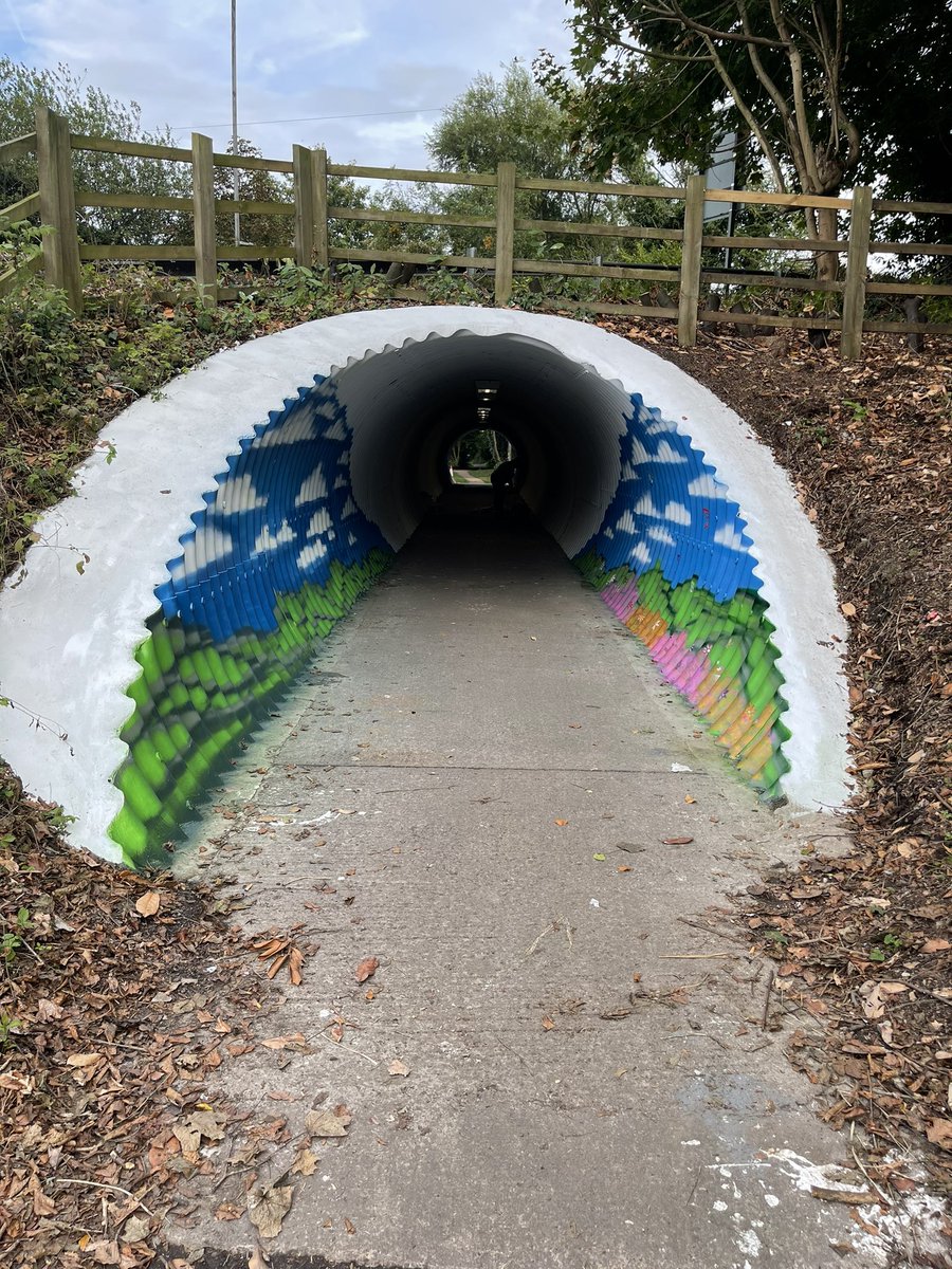 craftologyproj's tweet photo. We are so close to finishing now, the graffiti slowed us up today but that’s gone ♥️🌺 #dudbridge #tunnel #communityproject https://t.co/uBXyg2KObB