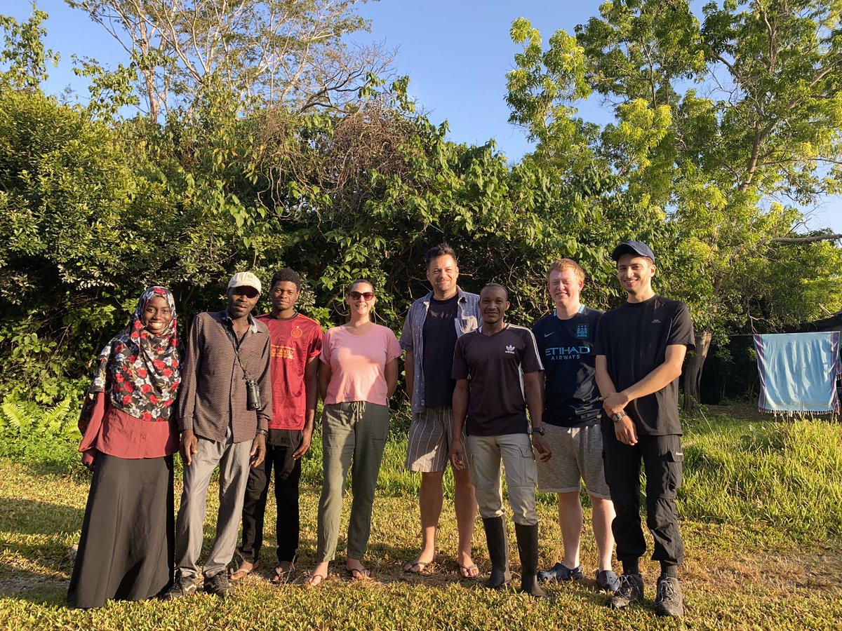 Zanzibar Red Colobus Project tweet media