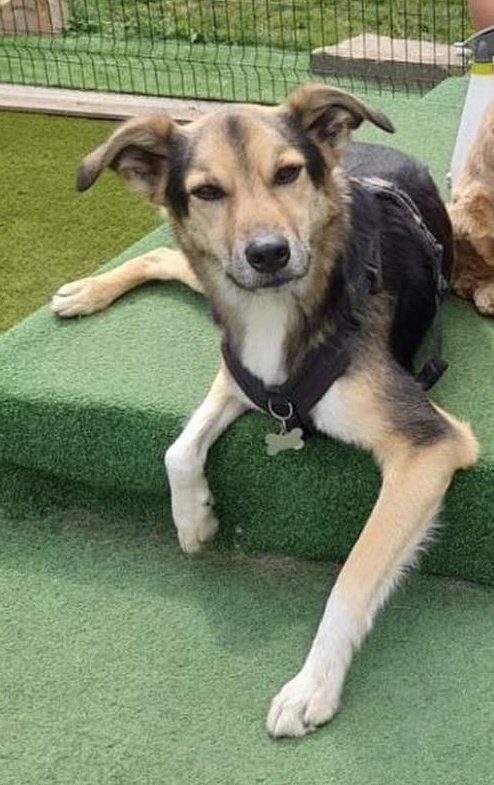 Hannah Wright tweet media