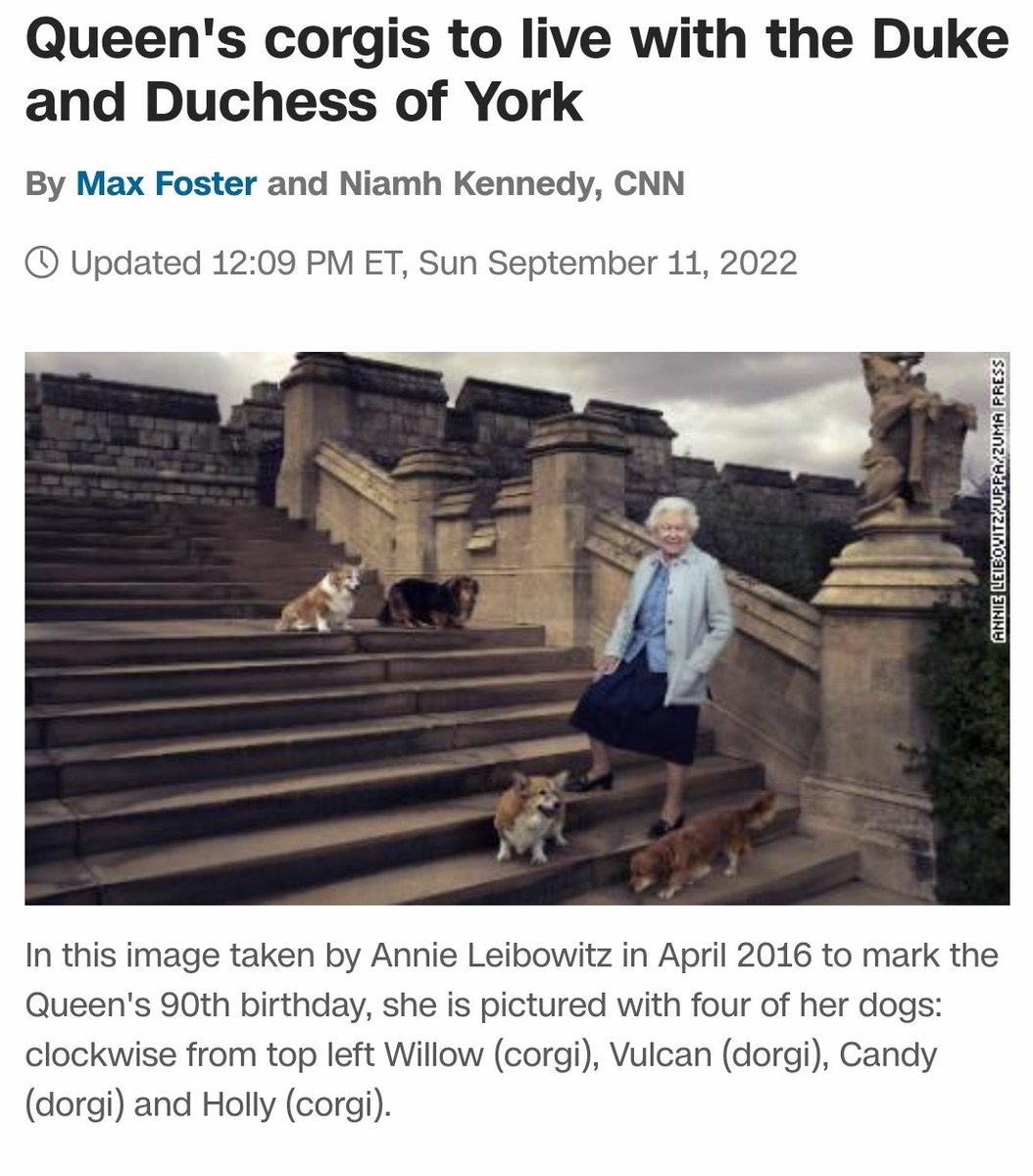 TheHarpman's tweet photo. The one bit of monarchy related news I actually care about. https://t.co/MfzLQjdmlo
