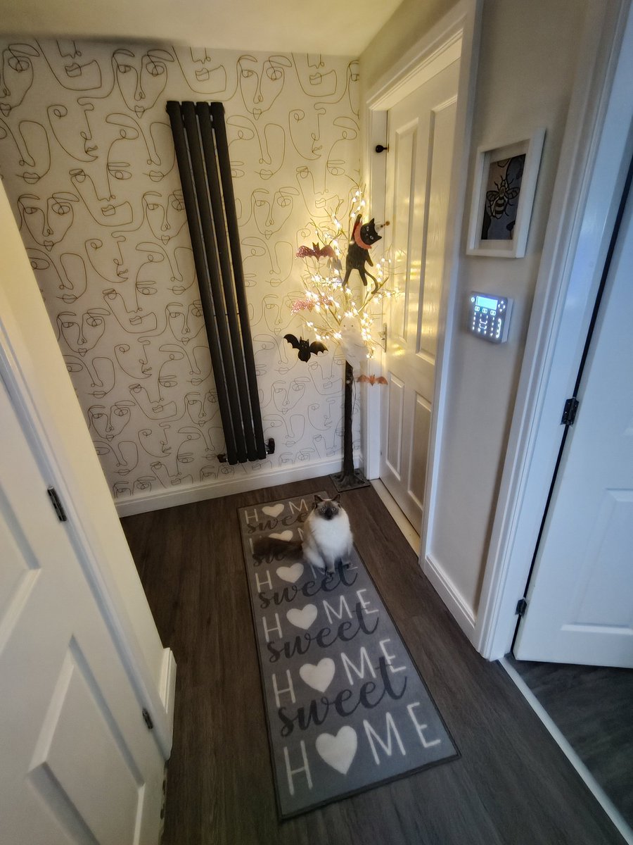 ... Advantages of having a Halloween obsessed daughter. We are ready on the 11th of September 🤣🤣