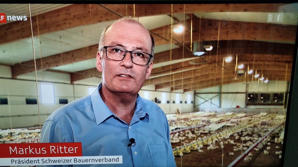 Da steht der Bauernpräsident in einer Halle mit tausenden Masthühnern und behauptet, in der Schweiz gebe es keine Massentierhaltung...
Ja zur Initiative gegen Massentierhaltung!
<a href="/Tierwohl_JA/">Initiative gegen Massentierhaltung</a>