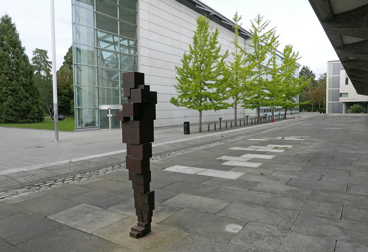 Antony Gormley's sculpture, Daze IV, seen in front of the law library on the Sidgwick site at @Cambridge_Uni, fine #Ginkgo biloba trees with lovely fresh leaves softening the view. #antonygormley #sculpture