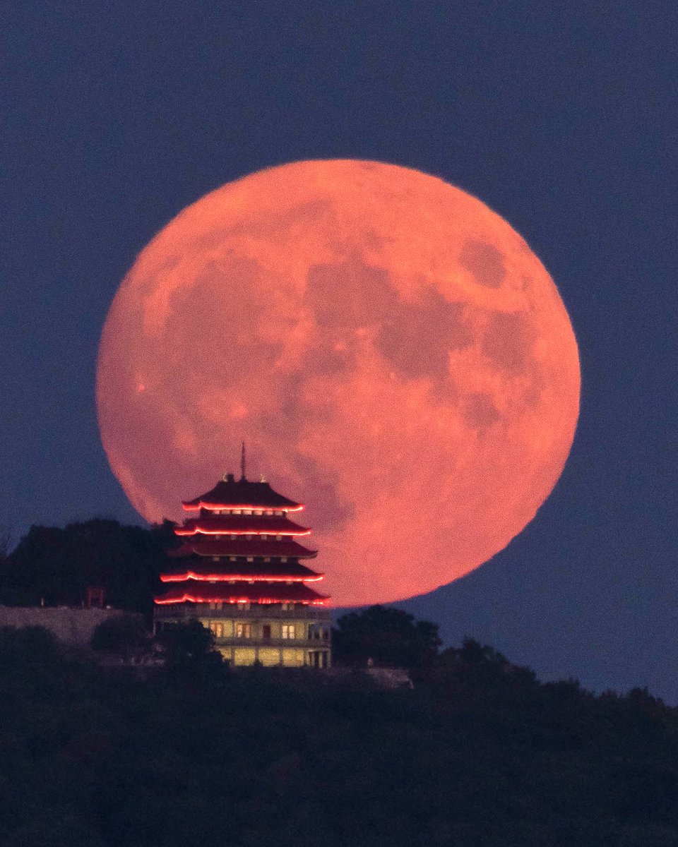 Mira (🌕,🦉) tweet media