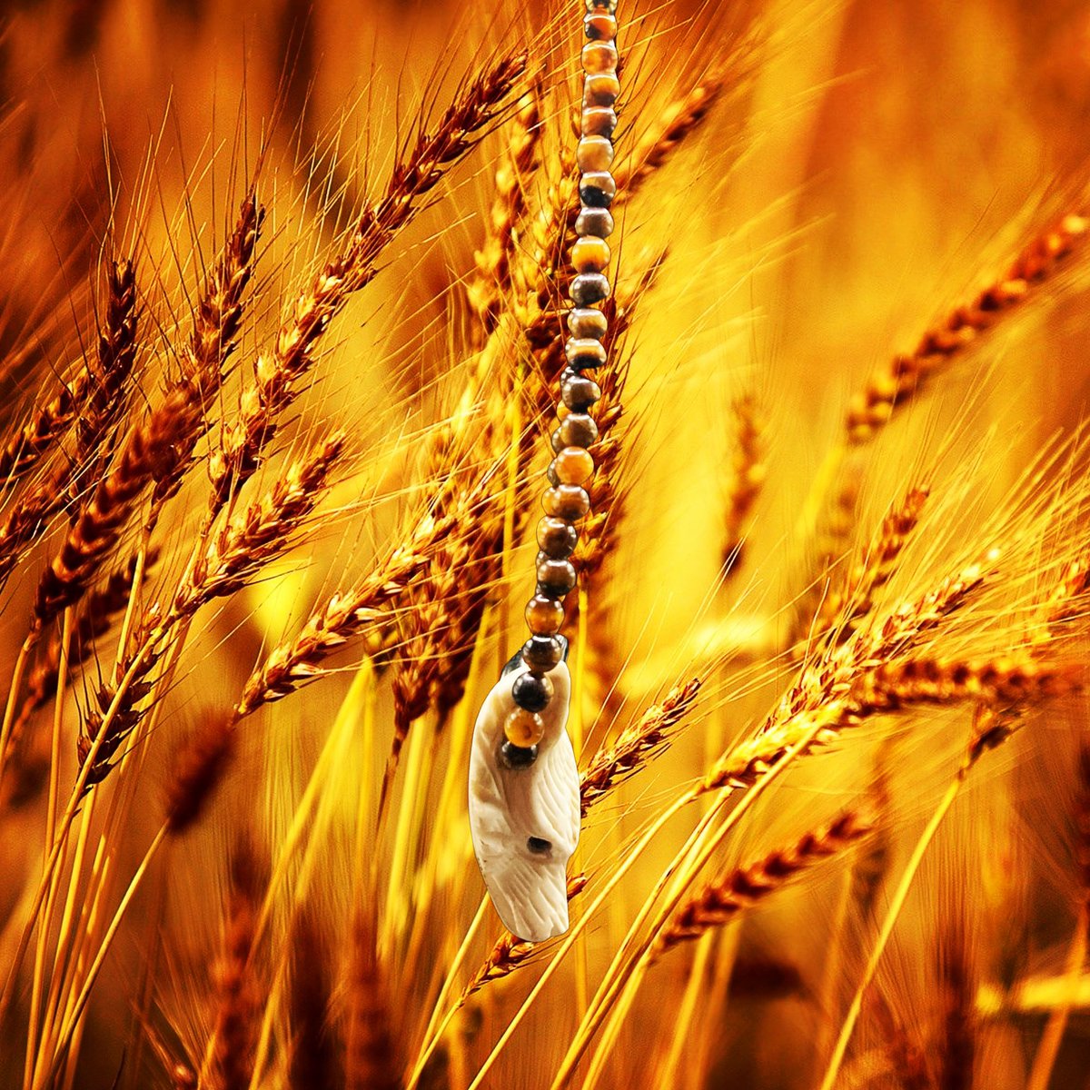 Aether79's tweet photo. “fresher than the harvest.” 
🌾https://t.co/rjSmVl0MyN🌾 https://t.co/FZWEbkNsa6