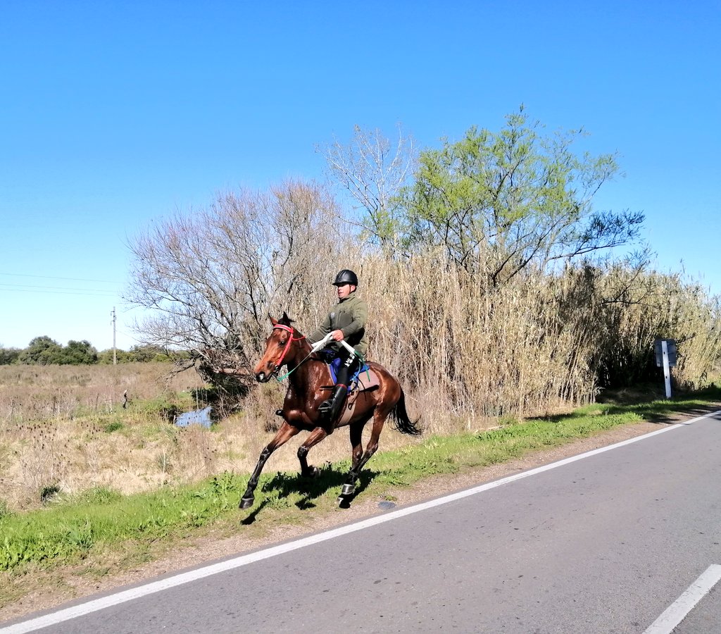 Acá les compartimos imágenes de los tres binomios que hicieron el podio en la Edición 50 del "Protector de los Pueblos Libres".

🥇- Nro 20 - Che Lucero con Aldo Rodríguez 

🥈- Nro 2 - Mi Recuerdo con José L. Sainz 

🥉- Nro 6- Que Aventurera con Gerardo González